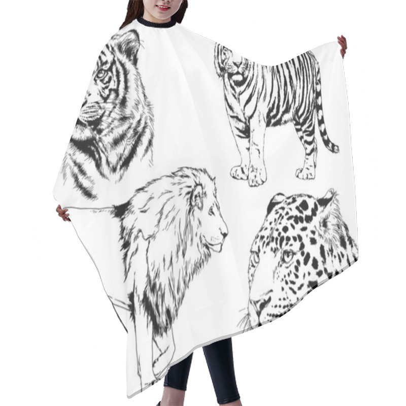 Personality  Set Of Vector Drawings On The Theme Of Predators Tigers Are Drawn By Hand With Ink Tattoo Logos Hair Cutting Cape