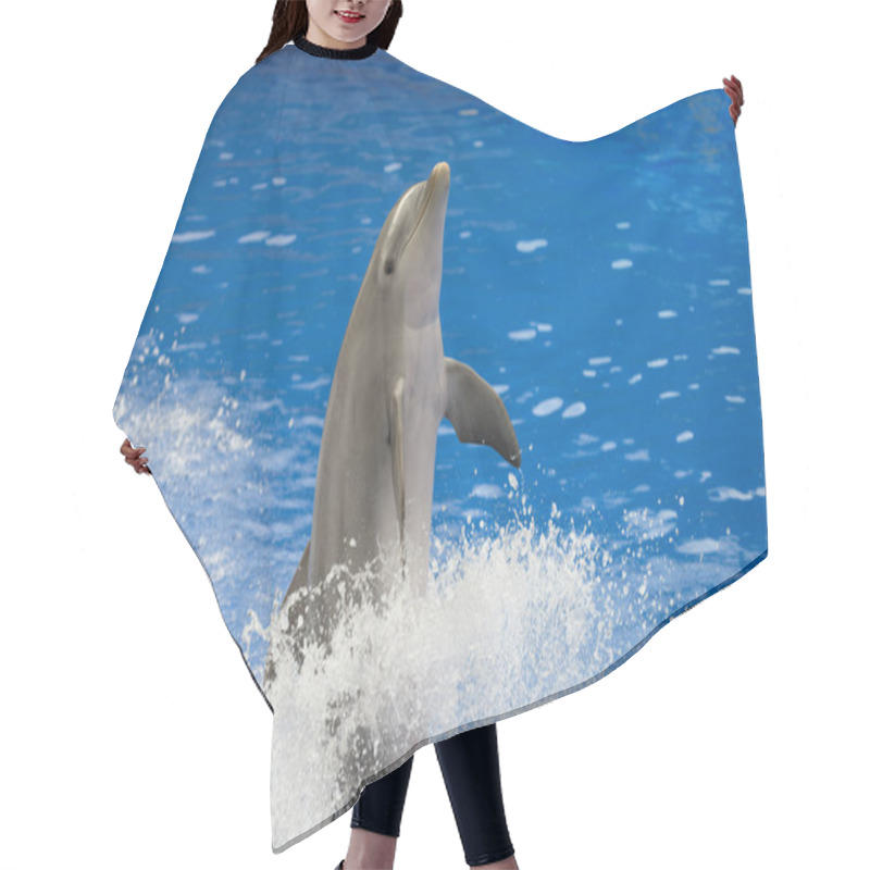 Personality  Dolphin Hair Cutting Cape