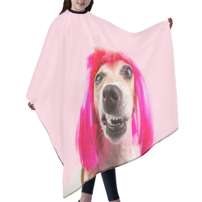 Personality  Angry Disgust, Denial, Disagreement Dog Face In Pink Wig Hair Cutting Cape