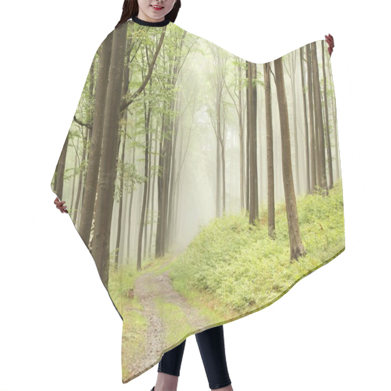 Personality  Path Through Foggy Forest Hair Cutting Cape