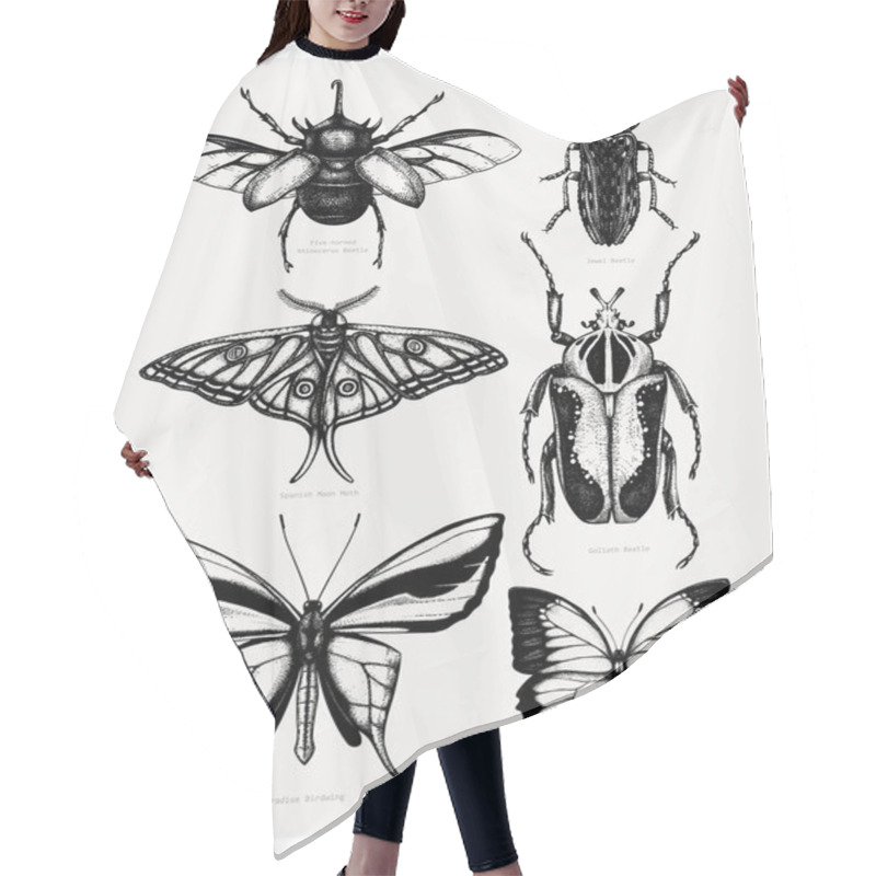 Personality  Vector Collection Of High Detailed Insects Sketches. Hand Drawn  Hair Cutting Cape