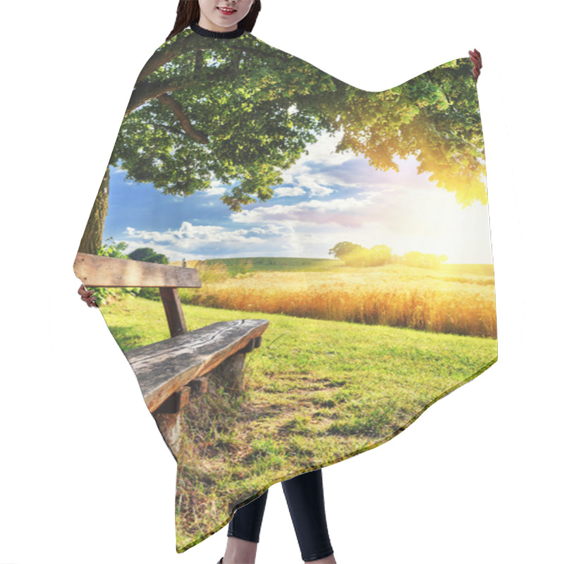 Personality  Beautiful Summer Landscape With Wooden Bench Hair Cutting Cape