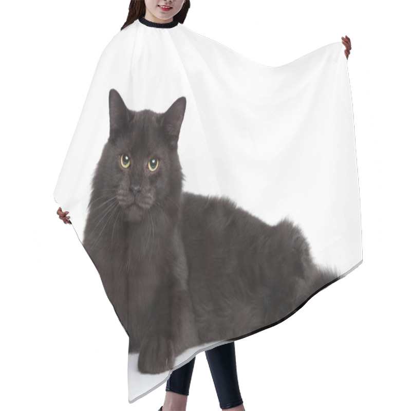 Personality  Siberian Cat On A White Background Hair Cutting Cape