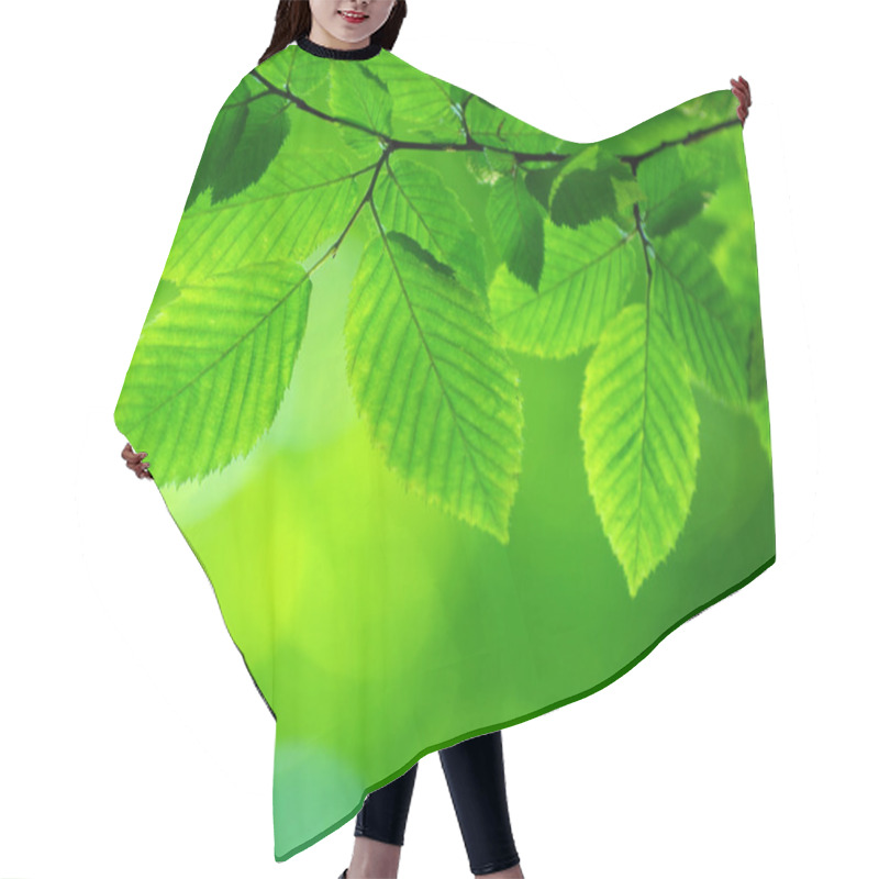 Personality  Green Leaves Hair Cutting Cape