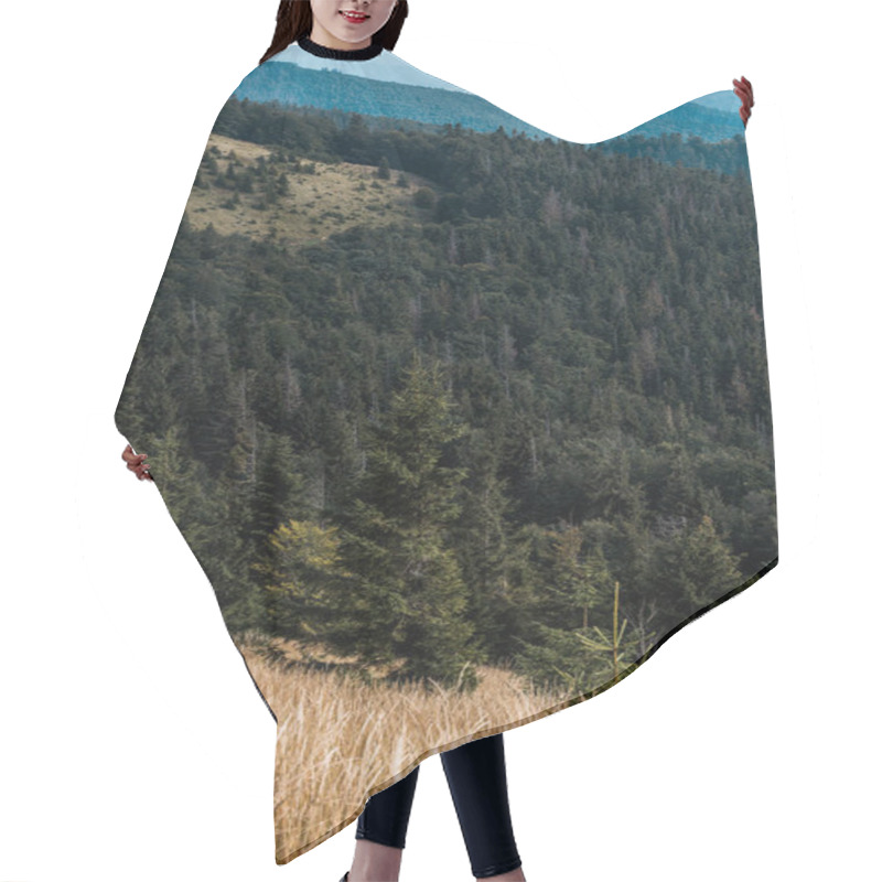 Personality  Yellow Lawn With Barley In Mountains With Green Pines Hair Cutting Cape