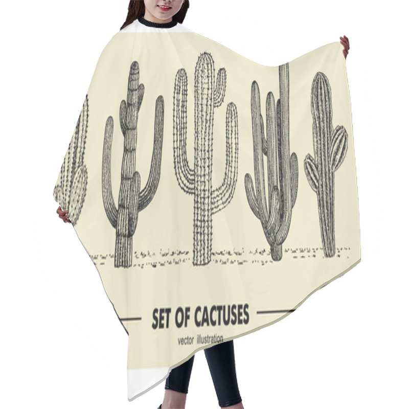 Personality  Vector Set Of Hand Drawn Cactus. Sketch Illustration. Different Cactuses In Monochrome Style Hair Cutting Cape