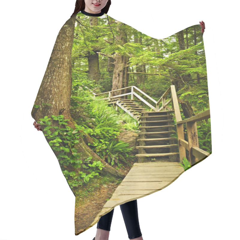 Personality  Path In Temperate Rainforest Hair Cutting Cape