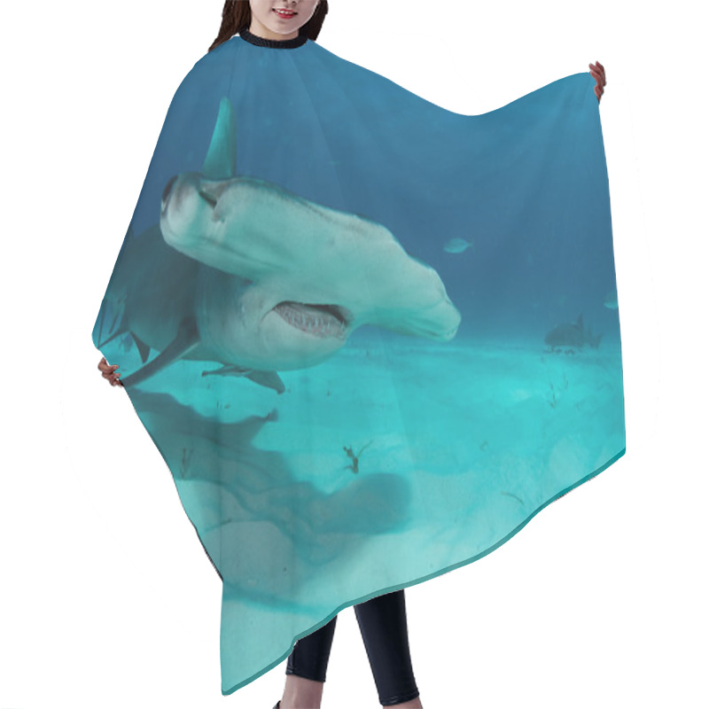 Personality  Hammerhead Shark In Bahamas Hair Cutting Cape