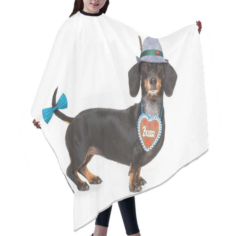 Personality  Bavarian Beer Dog  Hair Cutting Cape