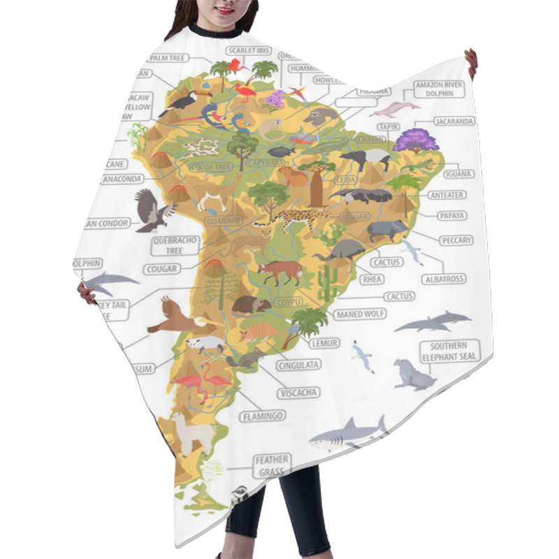 Personality  South America Flora And Fauna Map, Flat Elements. Animals, Birds Hair Cutting Cape