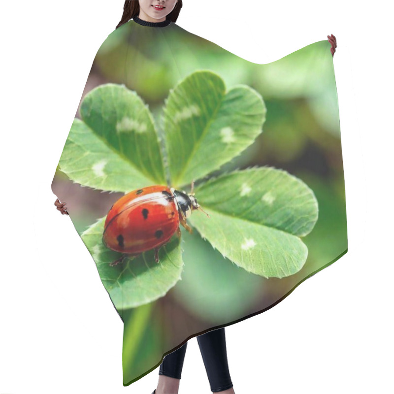 Personality  Extreme Macro Shot, Shamrock Clover Leaf With Ladybug Hair Cutting Cape