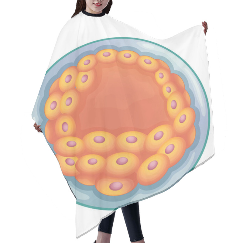 Personality  Blastocyst Hair Cutting Cape