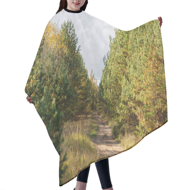 Personality  Golden Light Of A Sunset Casting A Warm Glow Over A Forest Trail In Late Autumn, With Fallen Leaves Carpeting The Path, Creating A Peaceful And Serene Atmosphere Hair Cutting Cape