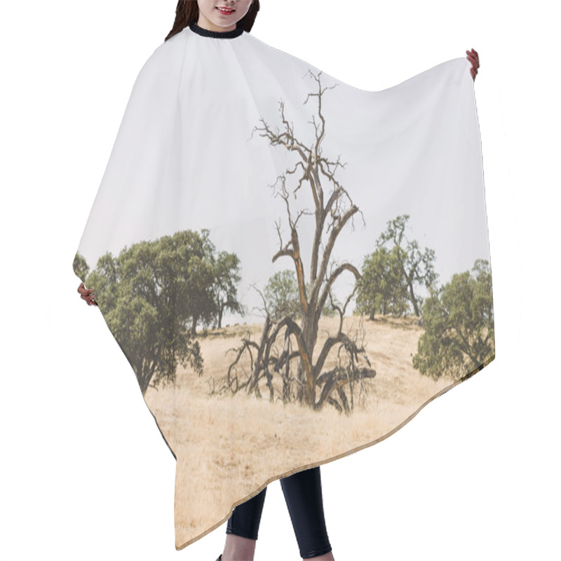 Personality  Arrid Countryside Hair Cutting Cape