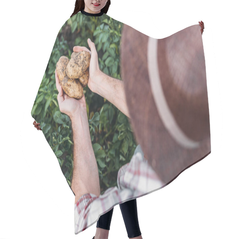 Personality  farmer holding potatoes in field hair cutting cape