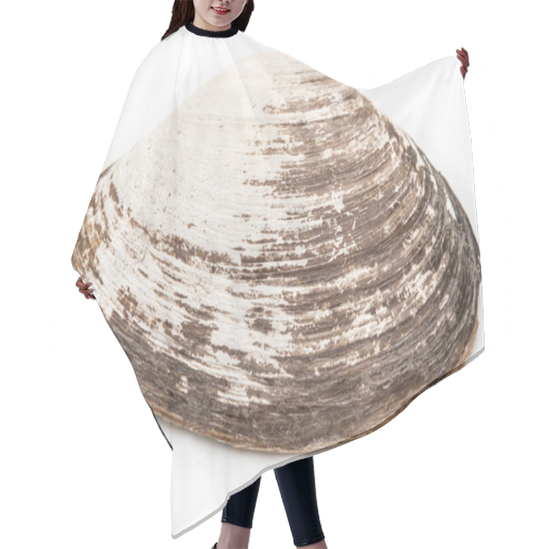 Personality  Fan Scallop On A White Background Hair Cutting Cape