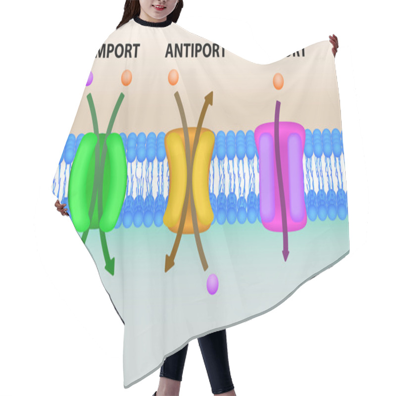 Personality  Cell Membrane Transport Systems Illustration Hair Cutting Cape