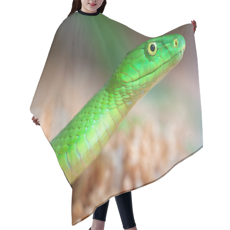 Personality  Alert Green Mamba Hair Cutting Cape