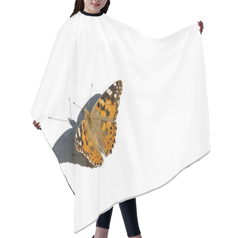 Personality  Butterfly Isolated On A White Background. Top View. Hair Cutting Cape