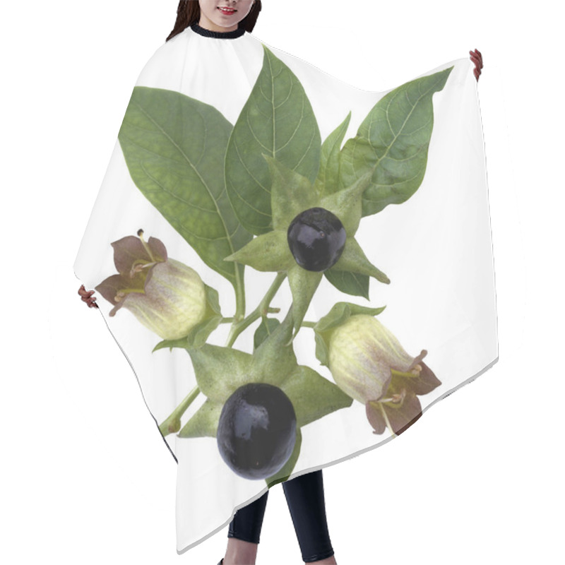 Personality  Tollkirsche  Atropa Bella-donna  Beeren Hair Cutting Cape