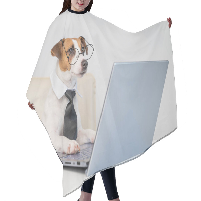 Personality  Dog Jack Russell Terrier In Glasses And A Tie Sits At A Desk And Works At A Computer On A White Background. Humorous Depiction Of A Boss Pet. Hair Cutting Cape