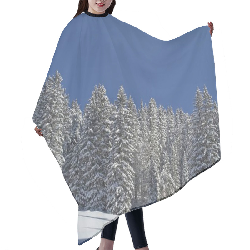 Personality  Snow Covered Twigs In Winter Forest Hair Cutting Cape