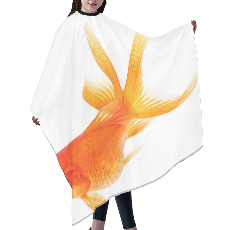 Personality  Goldfish On White Background Hair Cutting Cape