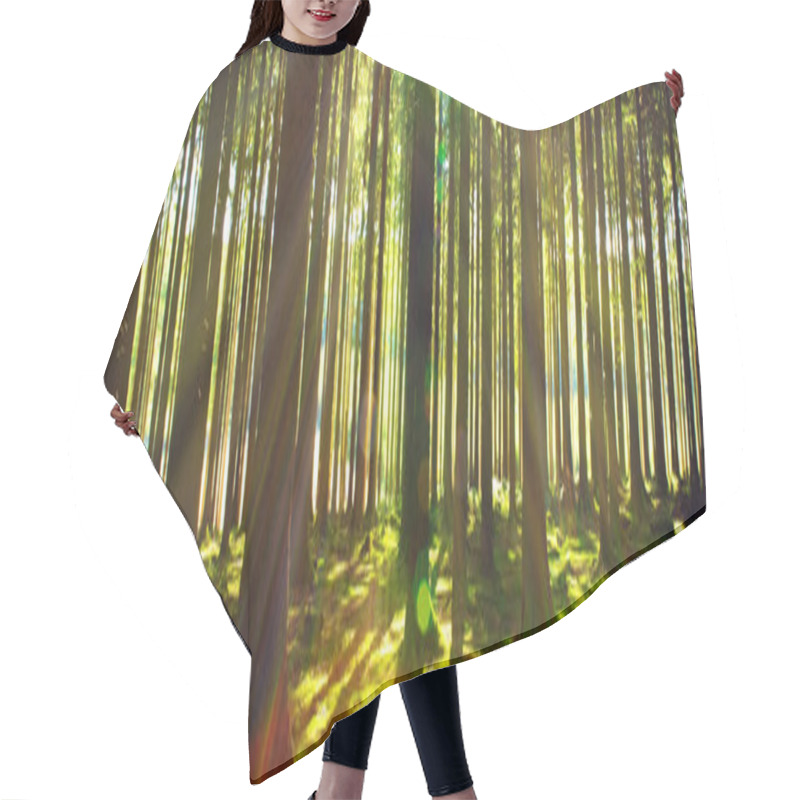 Personality  Bright Sun In The Forest  . Hair Cutting Cape