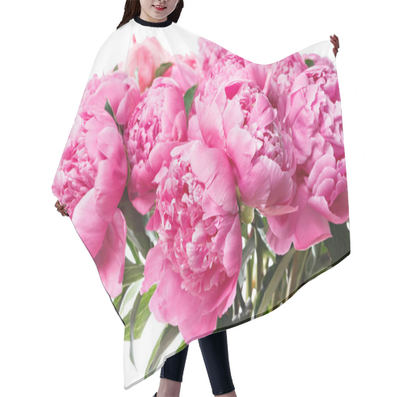 Personality  Fresh Bright Blooming Peonies Flowers On White Background. And Pink Bud Hair Cutting Cape