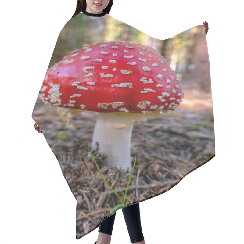 Personality  Red Mushroom With White Spots Hair Cutting Cape