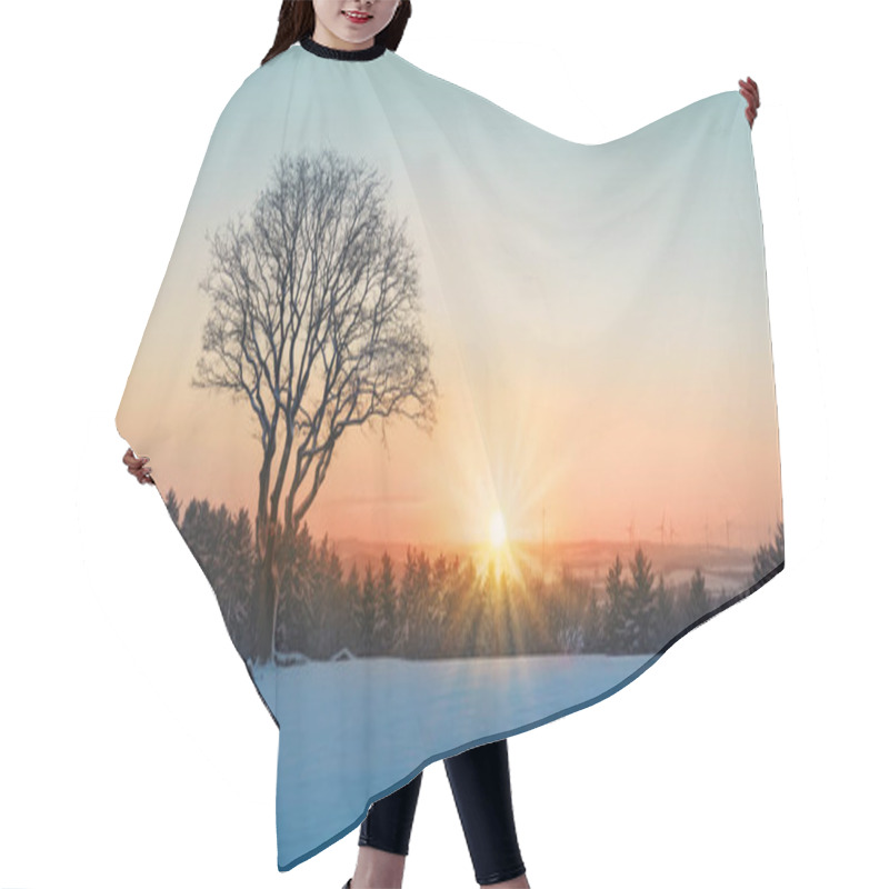 Personality  Winter Sunset Over The Snow Covered Tree.Nature Background. Hair Cutting Cape