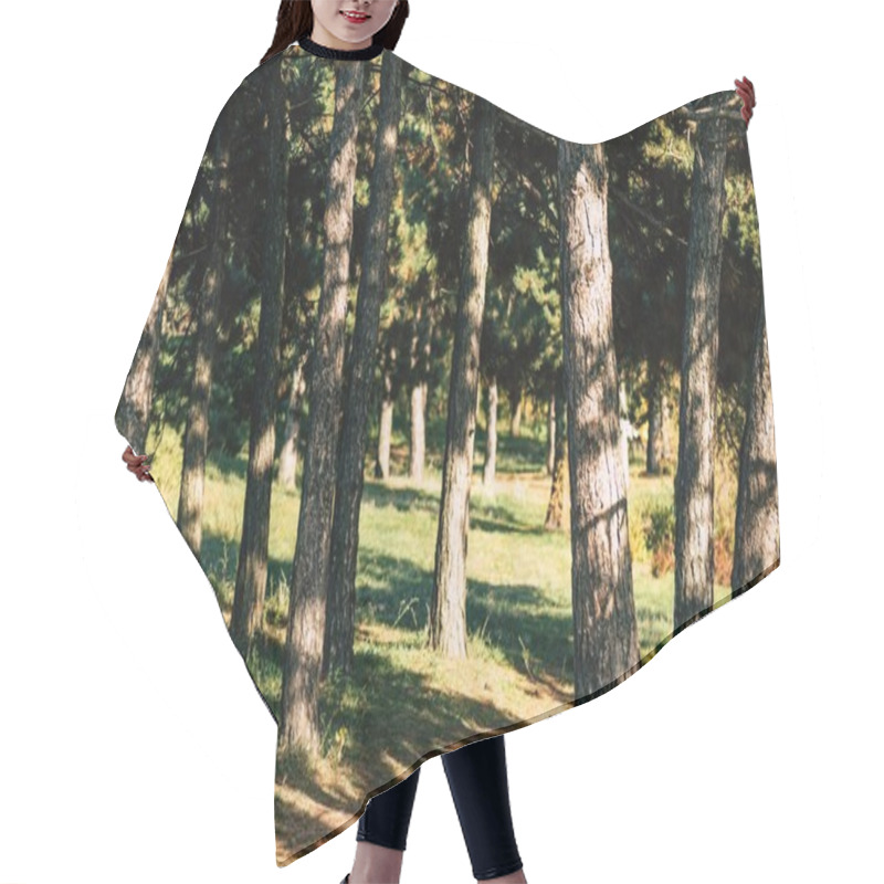 Personality  trees in autumn forest hair cutting cape