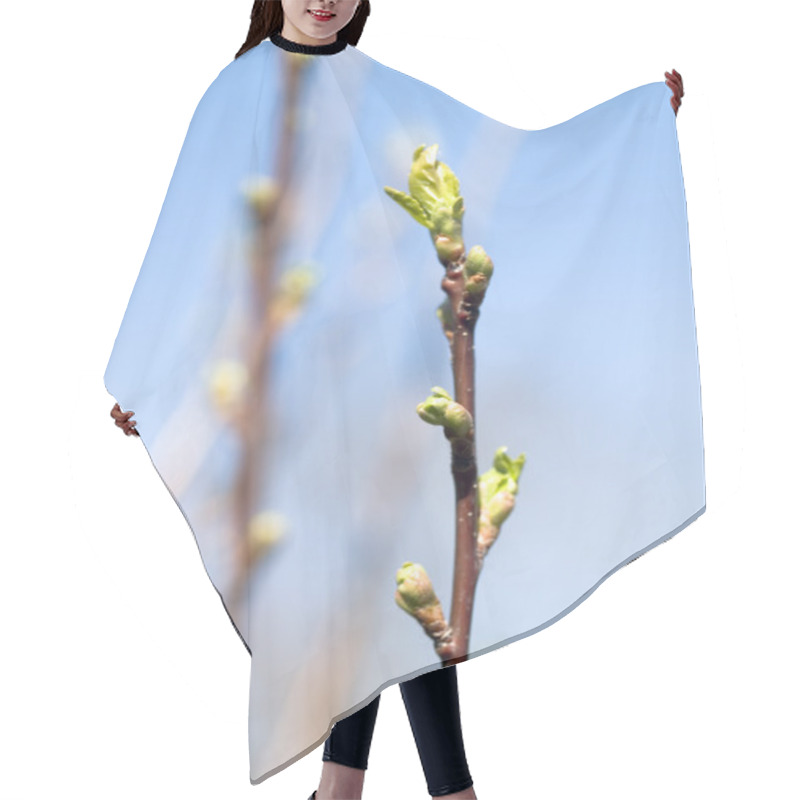 Personality  Spring Hair Cutting Cape