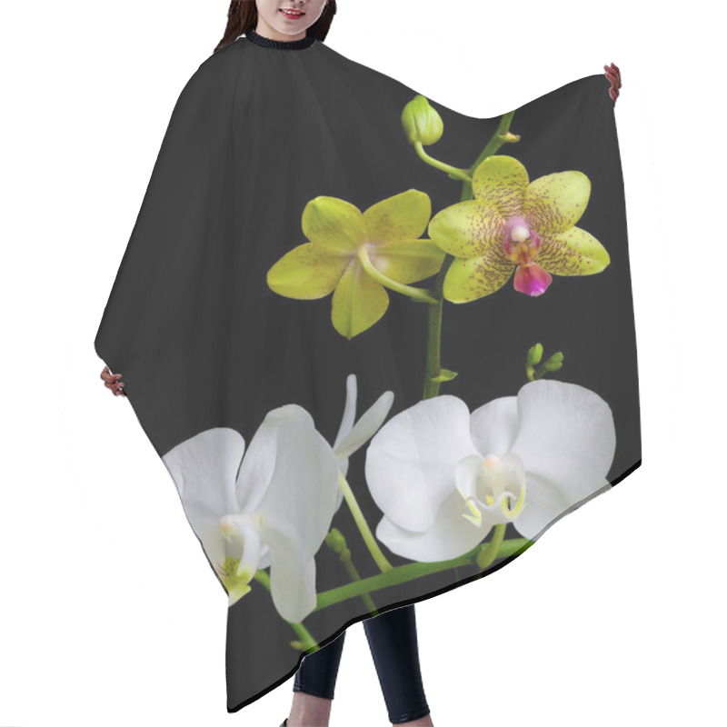 Personality  Yellow And White Orchids On A Black Background Hair Cutting Cape