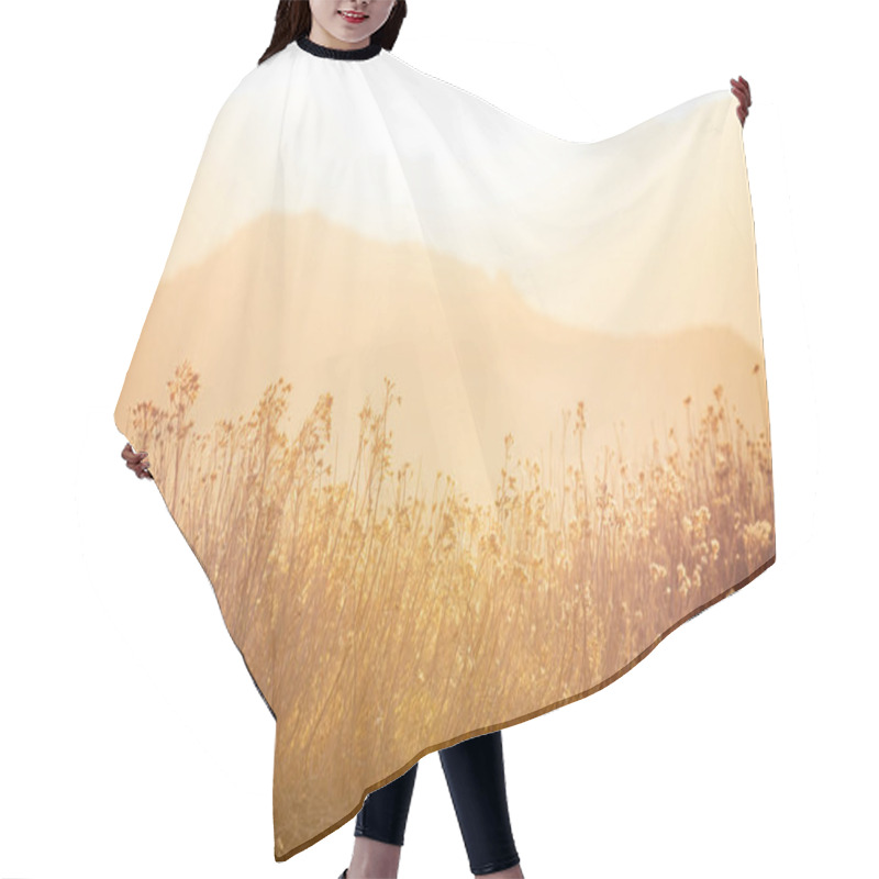 Personality  Sunny Day On The Flowers Meadow. Beautiful Natural Background. Hair Cutting Cape