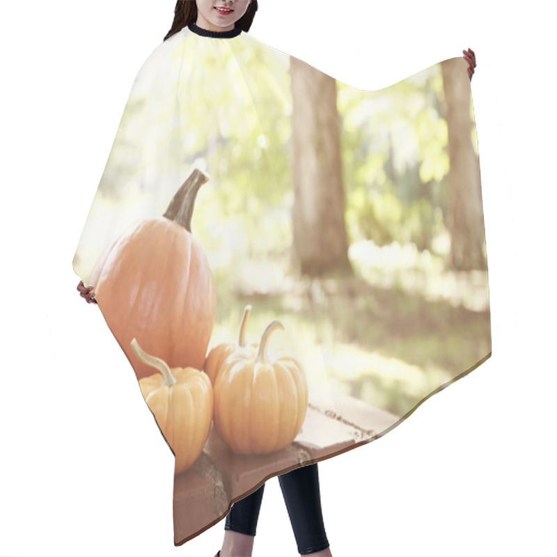 Personality  Pumpkins And Squashes Outside Hair Cutting Cape