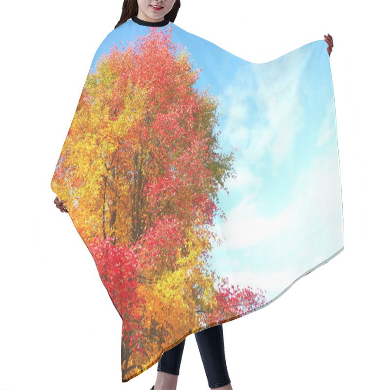 Personality  Colours Of Autumn Fall - Beautiful Black Tupelo Tree Hair Cutting Cape