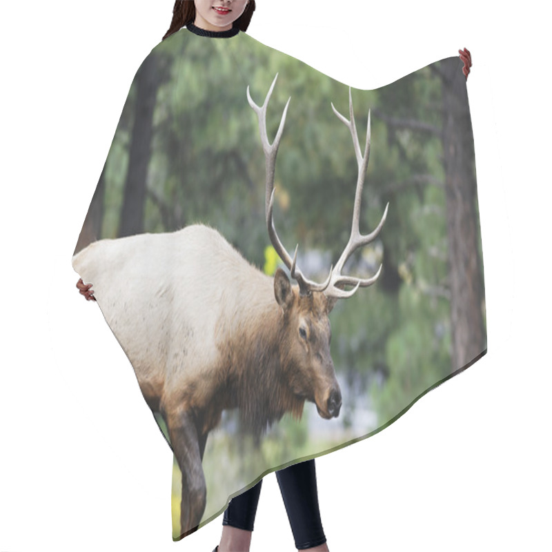 Personality  Majestic Deer Hair Cutting Cape