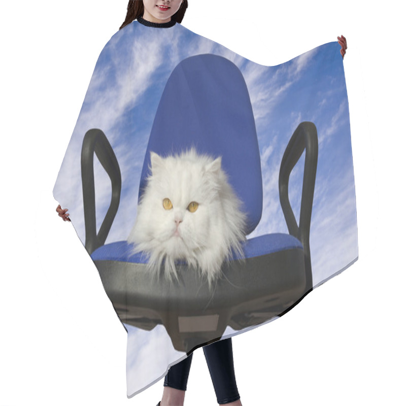 Personality  Armchair Hair Cutting Cape