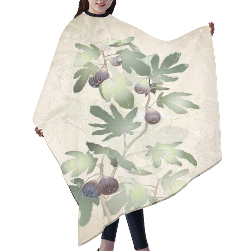 Personality  Detailed Image Of A Bunch Of Figs On A Tree. Figs In A Fig Tree. Hair Cutting Cape