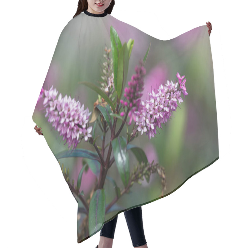 Personality  Close Up Of Pink Hebe Flowers In Bloom Hair Cutting Cape