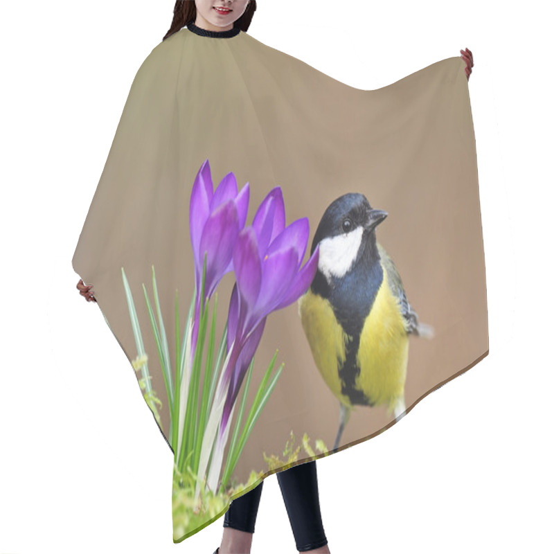 Personality  Great Tit And Crocus Hair Cutting Cape