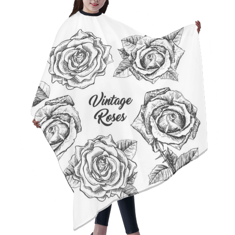 Personality  Roses Hand Drawn Sketch Illustrations Set Hair Cutting Cape