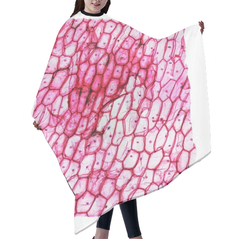 Personality  Onion Epidermus Micrograph Hair Cutting Cape