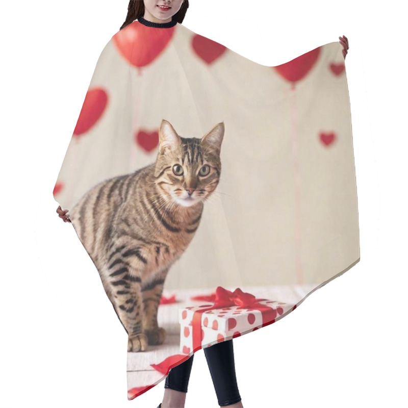 Personality  Tobby Cat And Gift Box In Background With Red Hearts And Rose Petals Hair Cutting Cape