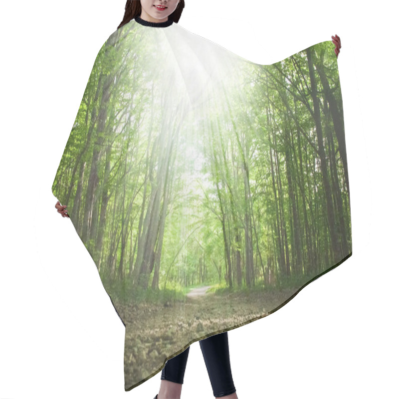 Personality  Spring Green Forest Hair Cutting Cape