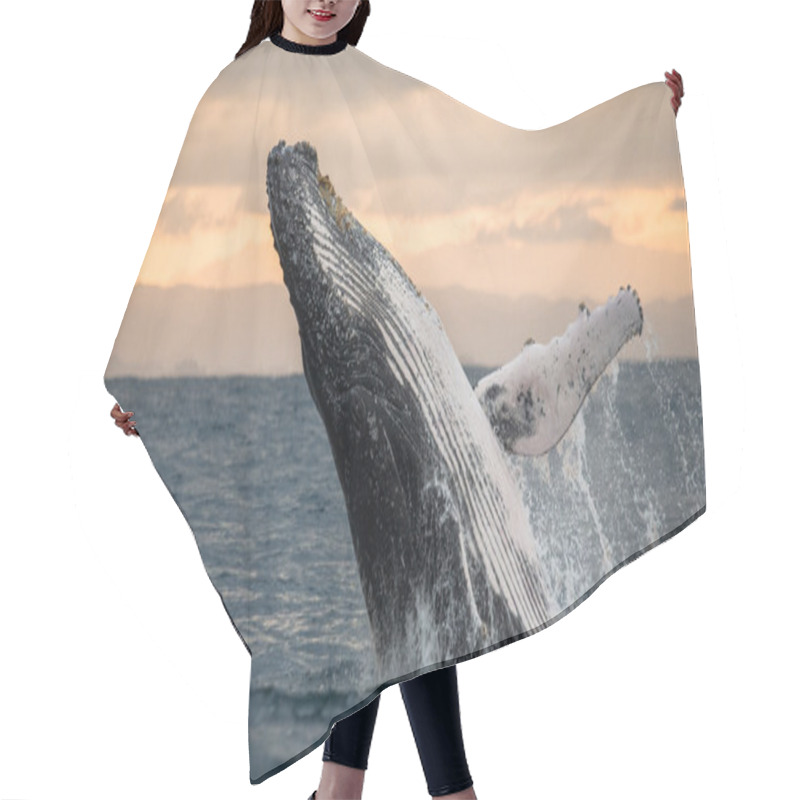 Personality  Whale Jumping In The Air Hair Cutting Cape