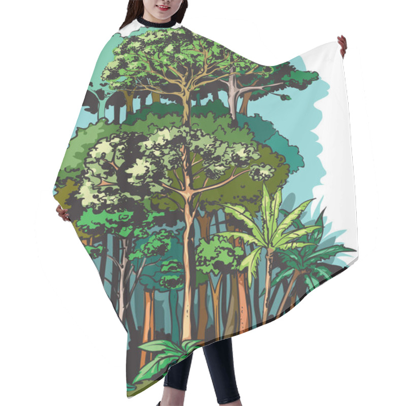 Personality  Vector Illustration Of Rain Forest Layers By Height. Hair Cutting Cape