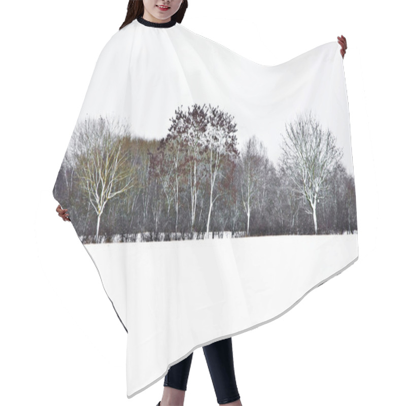 Personality  Flatland With Snow In Winter With Trees Hair Cutting Cape