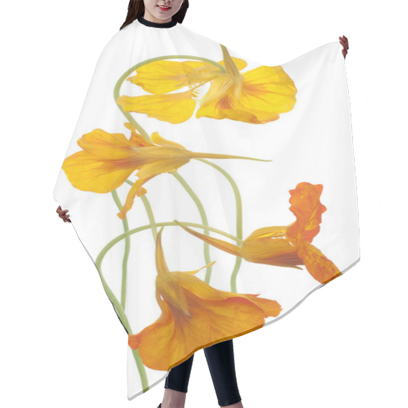 Personality  Nasturtium Flowers Hair Cutting Cape